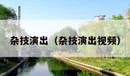 杂技演出（杂技演出视频）