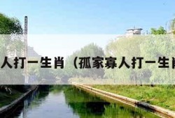 孤家寡人打一生肖（孤家寡人打一生肖数字）