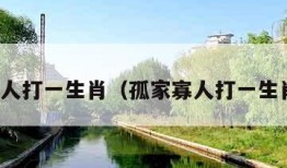 孤家寡人打一生肖（孤家寡人打一生肖数字）