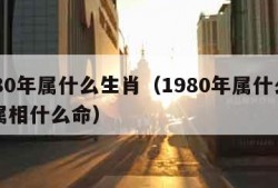 1980年属什么生肖（1980年属什么生肖属相什么命）