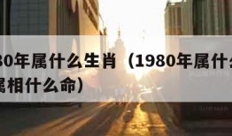 1980年属什么生肖（1980年属什么生肖属相什么命）