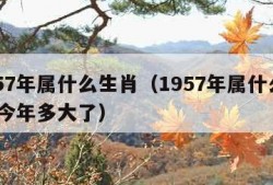 1957年属什么生肖（1957年属什么生肖 今年多大了）