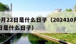10月22日是什么日子（202410月22日是什么日子）
