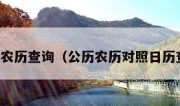 公历农历查询（公历农历对照日历查询）