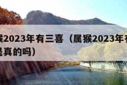 属猴2023年有三喜（属猴2023年有三喜是真的吗）
