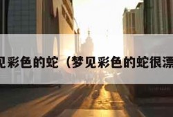 梦见彩色的蛇（梦见彩色的蛇很漂亮）