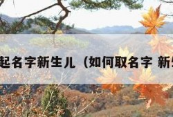 如何起名字新生儿（如何取名字 新生儿）