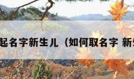 如何起名字新生儿（如何取名字 新生儿）