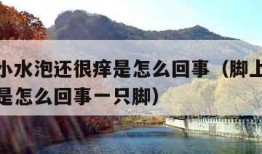脚上起小水泡还很痒是怎么回事（脚上起小水泡很痒是怎么回事一只脚）