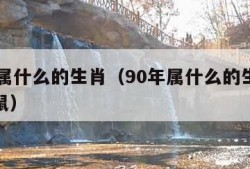 90年属什么的生肖（90年属什么的生肖配对属鼠）