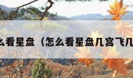 怎么看星盘（怎么看星盘几宫飞几宫）