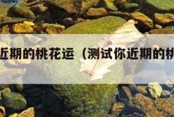 测试你近期的桃花运（测试你近期的桃花运八字）