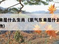 紫气东来是什么生肖（紫气东来是什么生肖最准确动物）