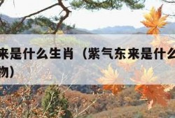 紫气东来是什么生肖（紫气东来是什么生肖最准确动物）