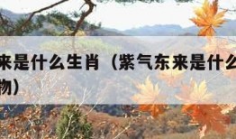 紫气东来是什么生肖（紫气东来是什么生肖最准确动物）