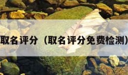 取名评分（取名评分免费检测）