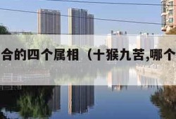 属猴不合的四个属相（十猴九苦,哪个月份最苦）