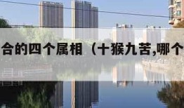 属猴不合的四个属相（十猴九苦,哪个月份最苦）