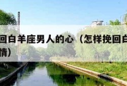 怎样挽回白羊座男人的心（怎样挽回白羊座男人的心情）