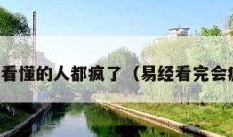 易经看懂的人都疯了（易经看完会疯嘛）