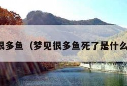 梦见很多鱼（梦见很多鱼死了是什么预兆）