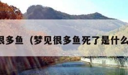 梦见很多鱼（梦见很多鱼死了是什么预兆）