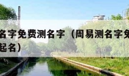 周易测名字免费测名字（周易测名字免费测名字三才起名）