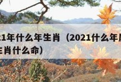 2021年什么年生肖（2021什么年属什么生肖什么命）