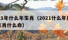 2021年什么年生肖（2021什么年属什么生肖什么命）
