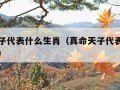 真命天子代表什么生肖（真命天子代表什么生肖动物）