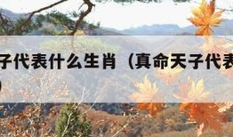 真命天子代表什么生肖（真命天子代表什么生肖动物）