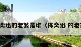 陈奕迅的老婆是谁（陈奕迅 的老婆）