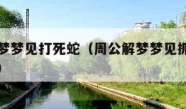 周公解梦梦见打死蛇（周公解梦梦见抓蛇是什么意思）