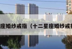 十二星座婚纱戒指（十二星座婚纱戒指视频）