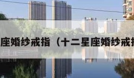 十二星座婚纱戒指（十二星座婚纱戒指视频）