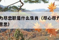尽心尽力尽忠职是什么生肖（尽心尽力尽忠职是什么意思）