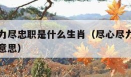 尽心尽力尽忠职是什么生肖（尽心尽力尽忠职是什么意思）
