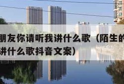 陌生的朋友你请听我讲什么歌（陌生的朋友你请听我讲什么歌抖音文案）