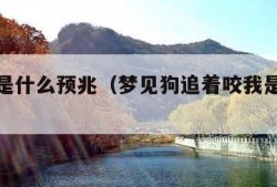 梦见狗是什么预兆（梦见狗追着咬我是什么预兆）