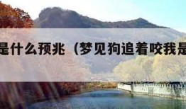 梦见狗是什么预兆（梦见狗追着咬我是什么预兆）