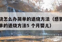 感冒发烧怎么办简单的退烧方法（感冒发烧怎么办简单的退烧方法5 个月婴儿）