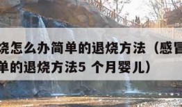 感冒发烧怎么办简单的退烧方法（感冒发烧怎么办简单的退烧方法5 个月婴儿）