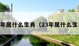 22年属什么生肖（23年属什么生肖）