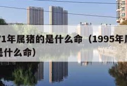 1971年属猪的是什么命（1995年属猪的是什么命）