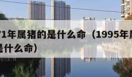 1971年属猪的是什么命（1995年属猪的是什么命）