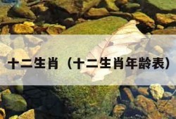 十二生肖（十二生肖年龄表）