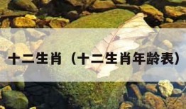 十二生肖（十二生肖年龄表）