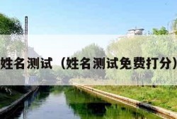 姓名测试（姓名测试免费打分）