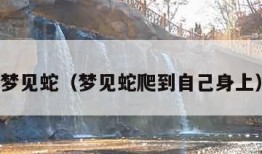 梦见蛇（梦见蛇爬到自己身上）