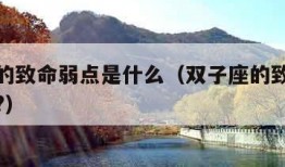 双子座的致命弱点是什么（双子座的致命弱点是什么?）